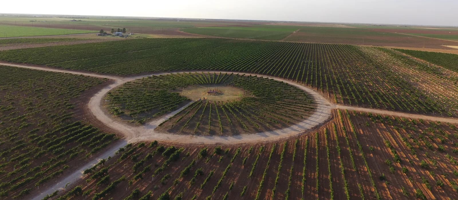 The Circle from a low drone pass: the ring road, the clearing at its center, and the rows of the block around it