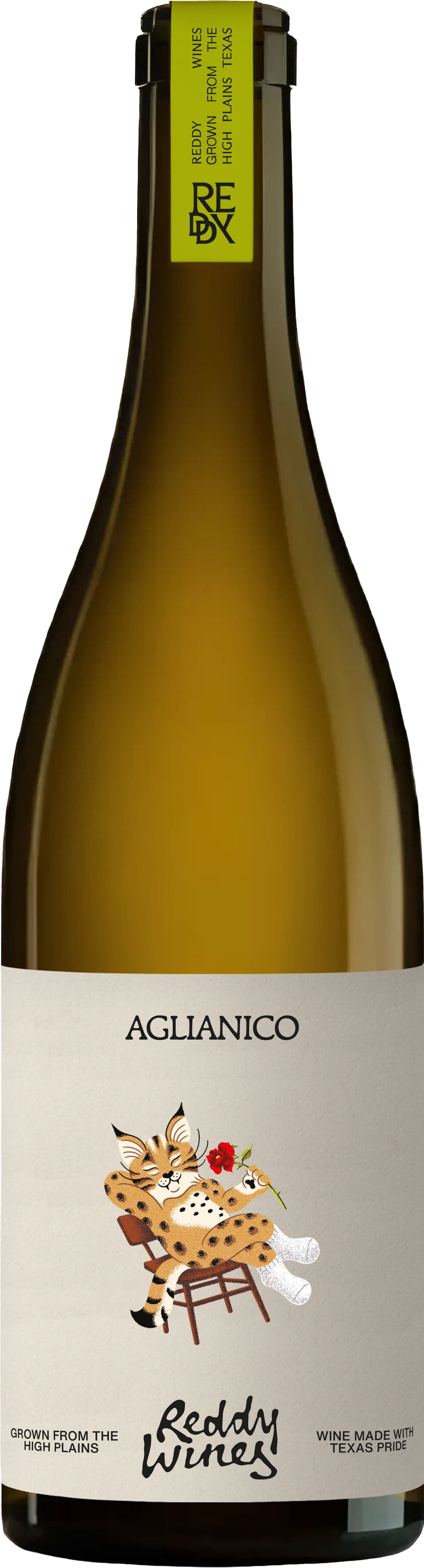 2023 Aglianico